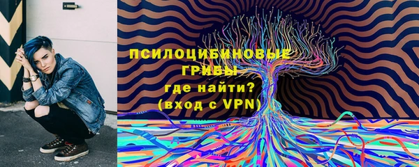 индика Алзамай