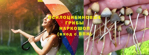 твердый Алексеевка